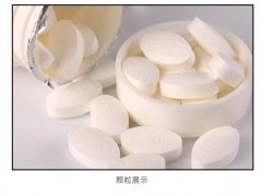 z6com.尊龙时凯科技