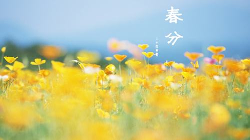 z6com.尊龙时凯科技