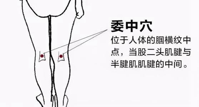 z6com.尊龙时凯科技