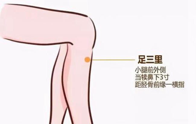 z6com.尊龙时凯科技